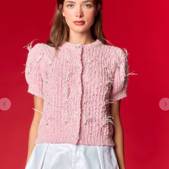 Rareraw “ Katrina 2 “ Rareraw Knit Sweater with Feather & Rhinestone Accents 35 - Picture 7 of 7